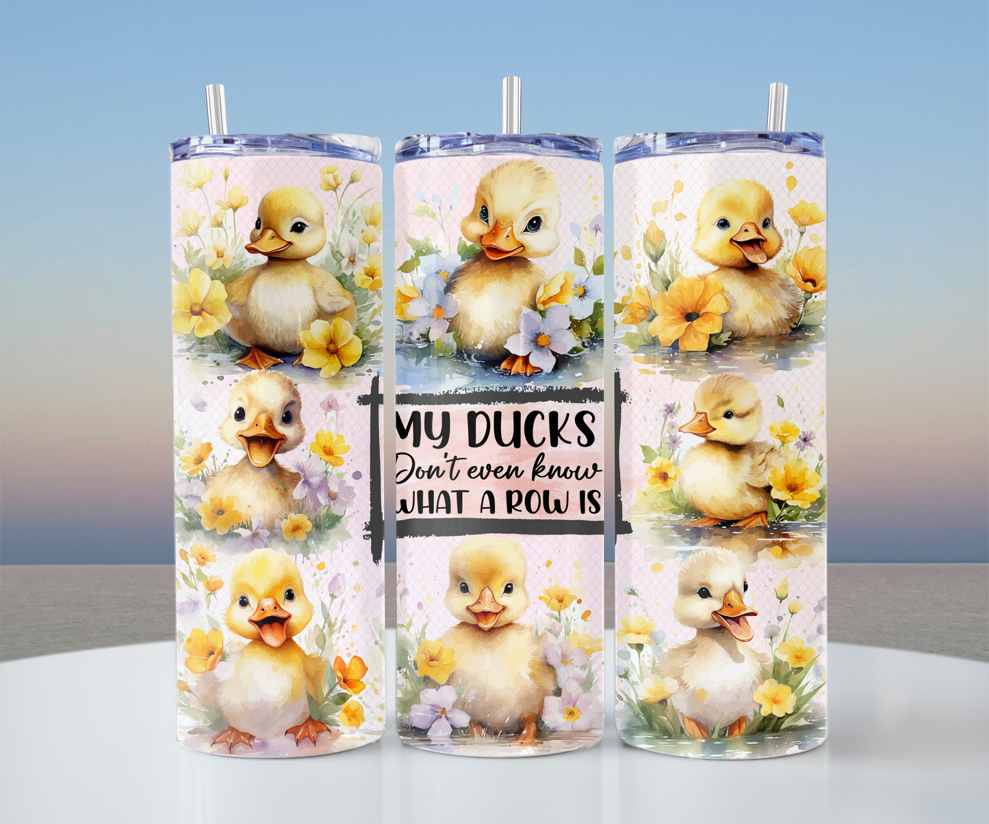 Ducks In A Row?